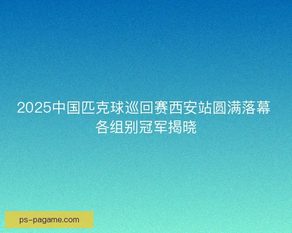 2025中国匹克球巡回赛西安站圆满落幕 各组别冠军揭晓